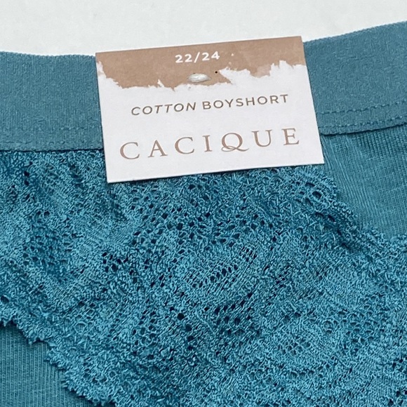 Lane Bryant Intimates & Sleepwear Teal Cotton Boyshort Panty With